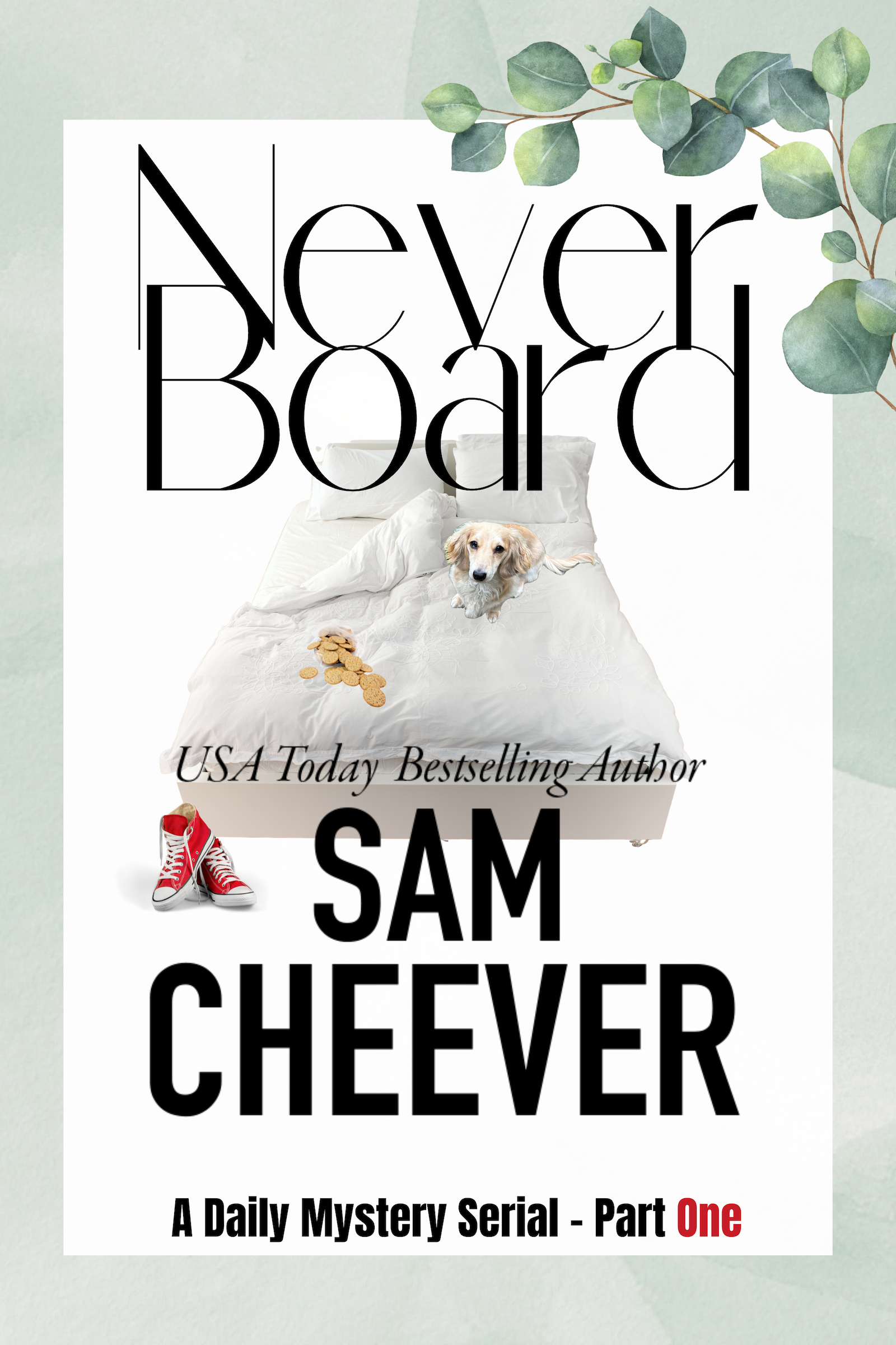 never board cover   1600x2400